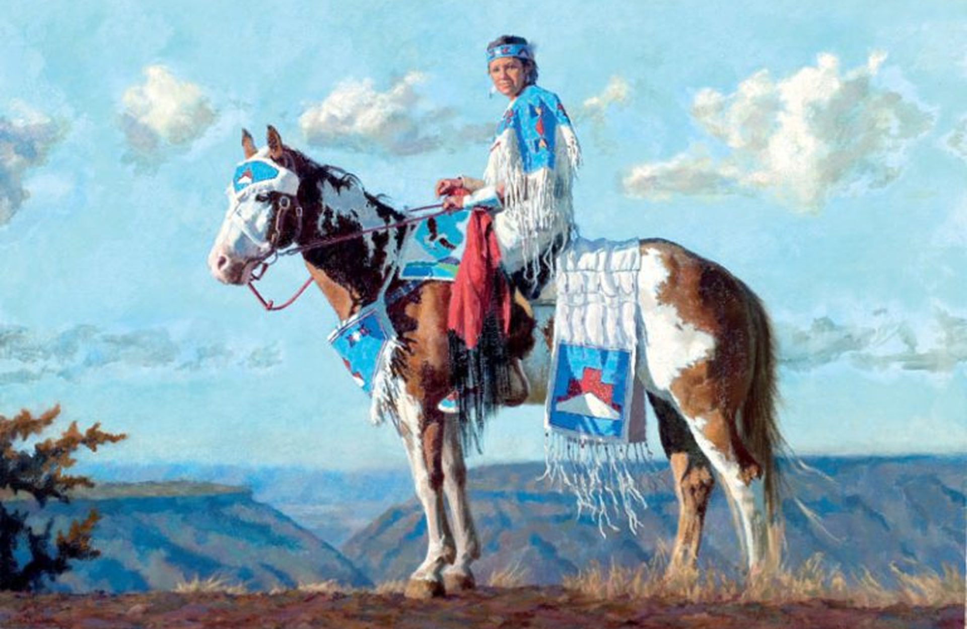 A person in traditional Native American attire sits atop a decorated horse, overlooking a scenic landscape with blue skies and distant hills.
