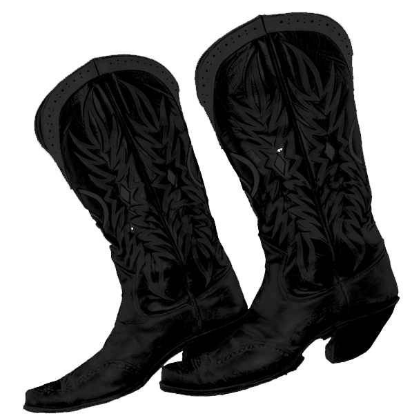 A pair of black cowboy boots with decorative stitching and slightly pointed toes, placed side by side against a white background.