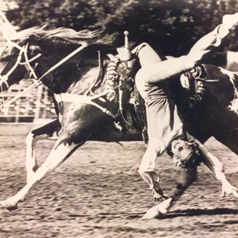 A person performs a gymnastic move on a moving horse, balancing on one hand with legs extended, during an equestrian event.