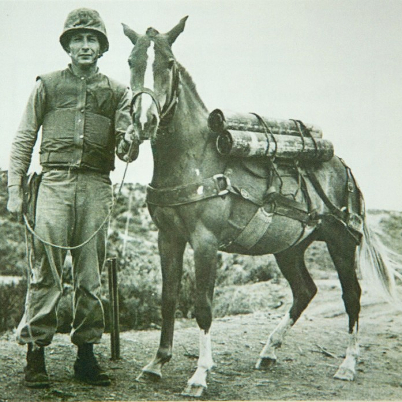 A soldier in uniform stands beside a horse carrying supplies in cylindrical containers on its back. The photo is black and white and appears historical, possibly from a wartime setting.