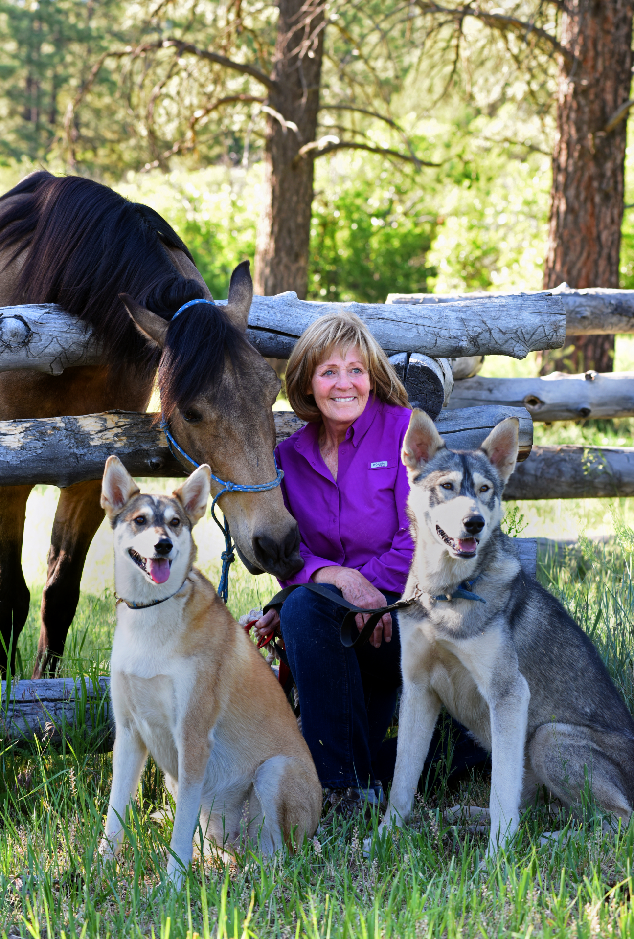 A woman in a purple shirt kneels in grass beside a brown horse and two wolf-like dogs, all near a wooden fence in a sunny, wooded area.