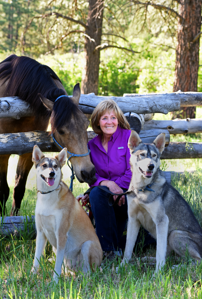 A woman in a purple shirt kneels in grass beside a brown horse and two wolf-like dogs, all near a wooden fence in a sunny, wooded area.