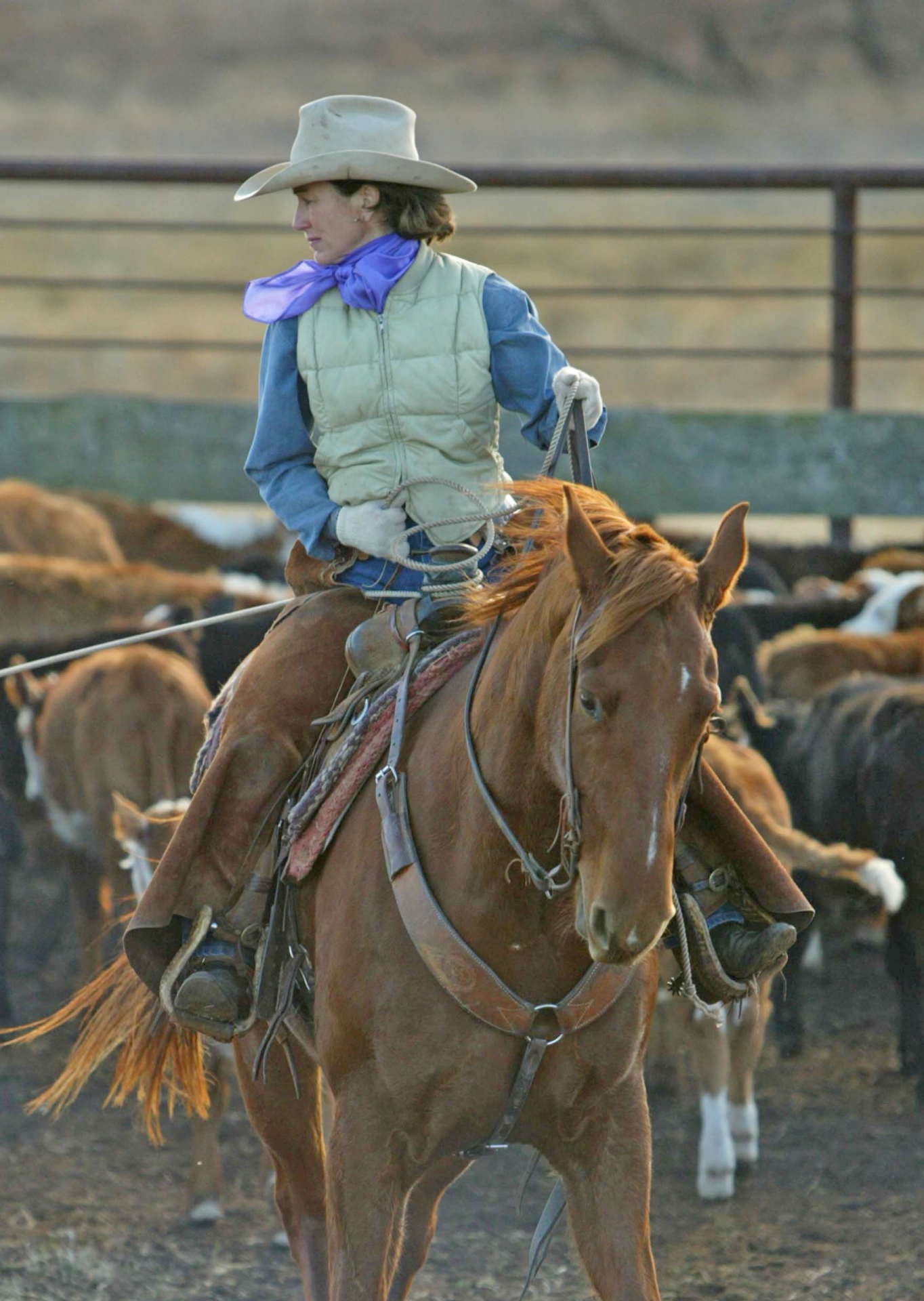 Cowgirl wearing a beige hat and vest rides a brown horse in a cattle pen.