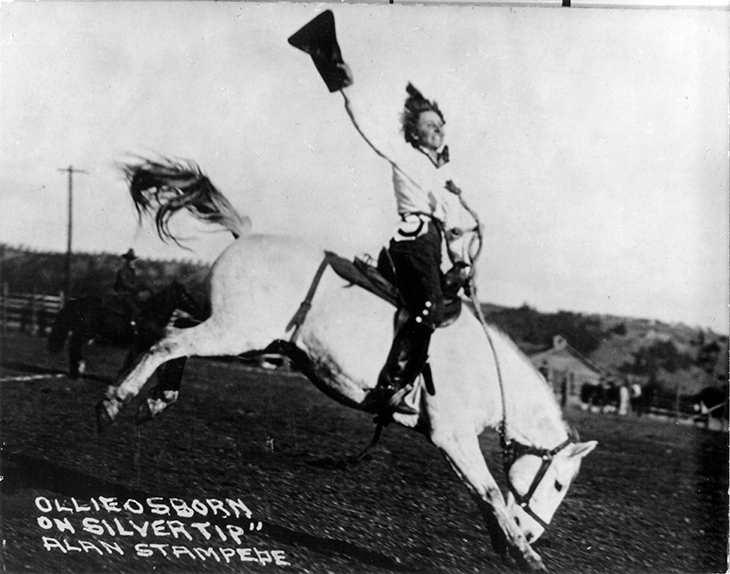 Rider on a white horse clearing a jump, hat raised in the air.