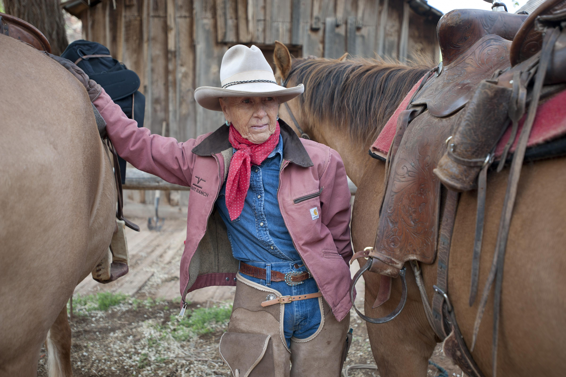 Older woman in a beige cowboy hat and pink jacket stands between two saddled horses at a ranch.