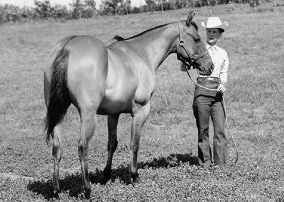 Man wearing a cowboy hat stands in a field holding the bridle of a horse beside him.