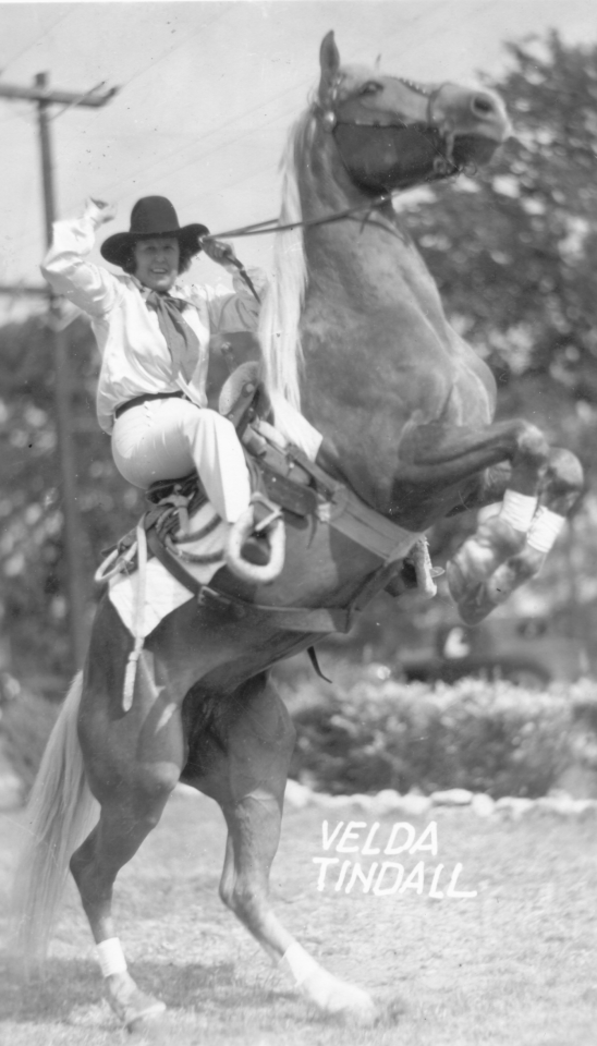 Cowgirl on a rearing horse in a rodeo arena, wearing a black hat and scarf, holding the reins as she balances atop the horse. The name 'VELDA TINDALL' is visible on the ground nearby.